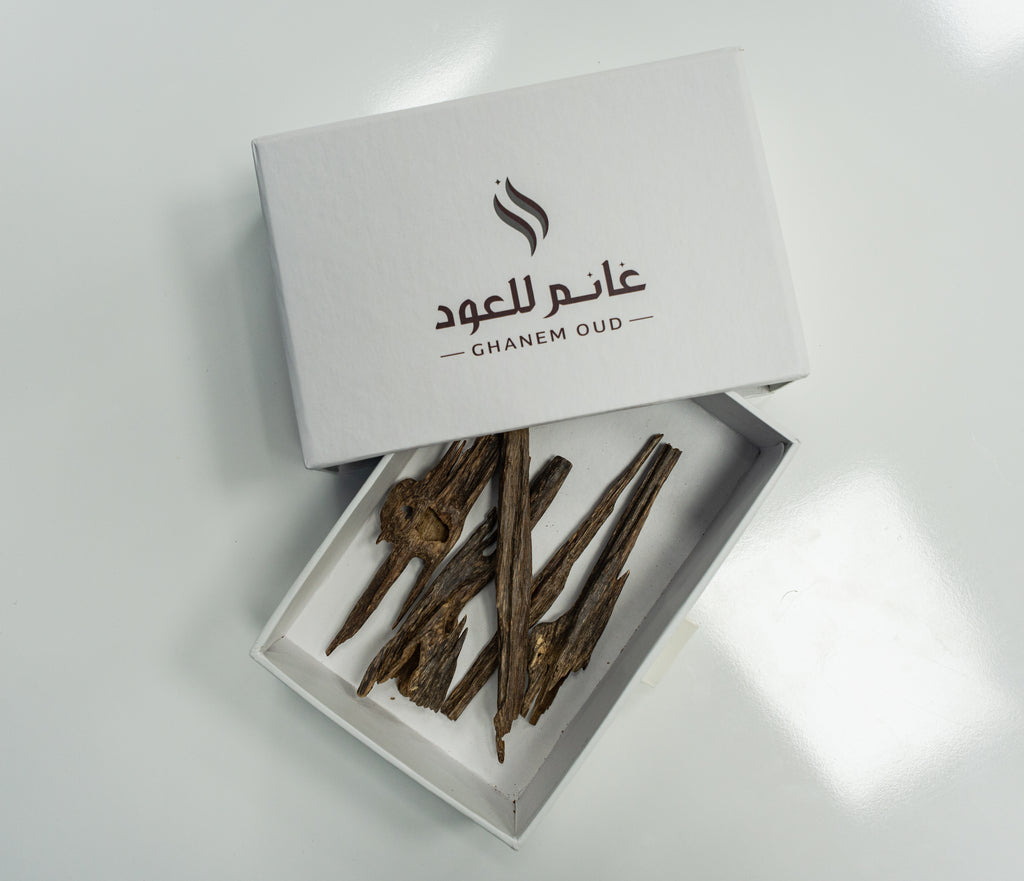 عود سيوفي